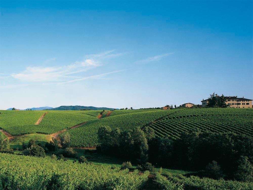 Agriturismo Tenuta La Marchesa Novi Ligure Buitenkant foto